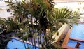 Sunshine Hotel & Residences - Swimming Pool